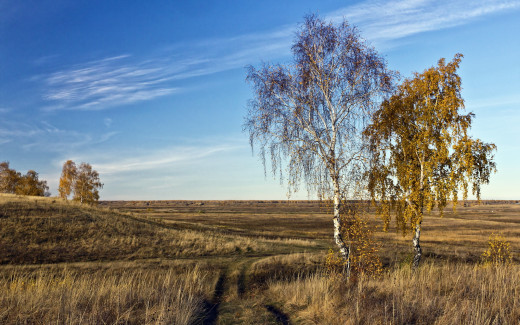 670423 (a): :2560x1600